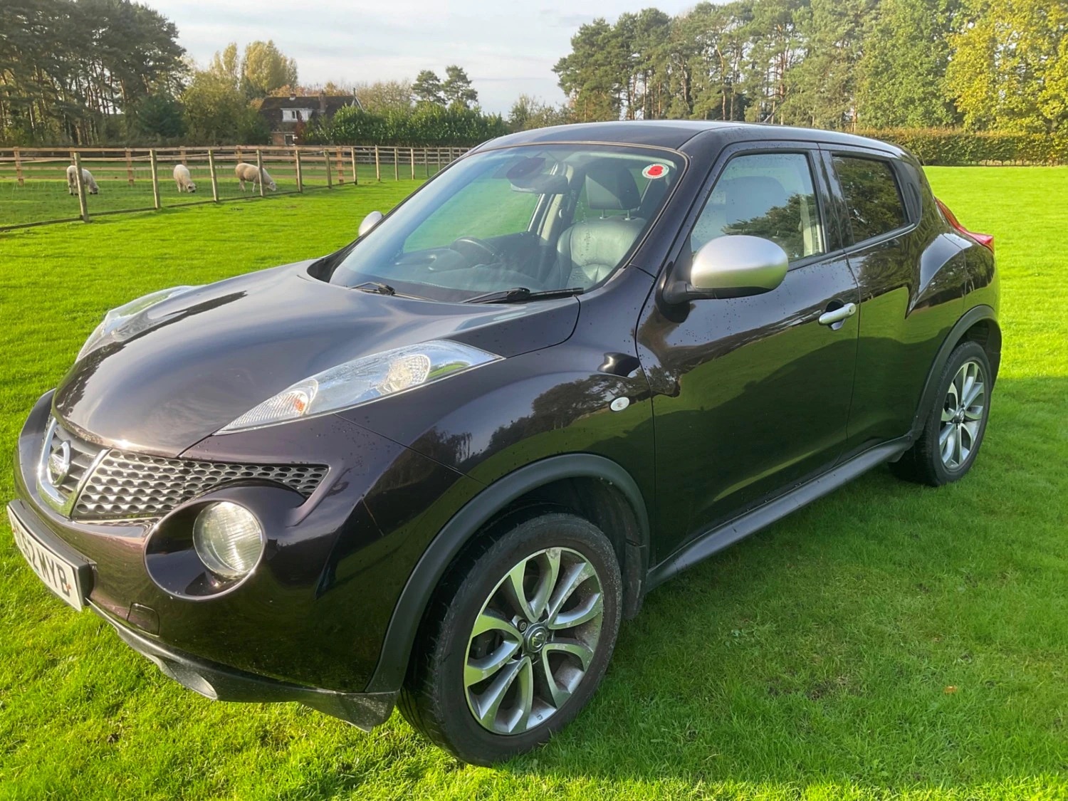 Nissan Juke YC62 MYB