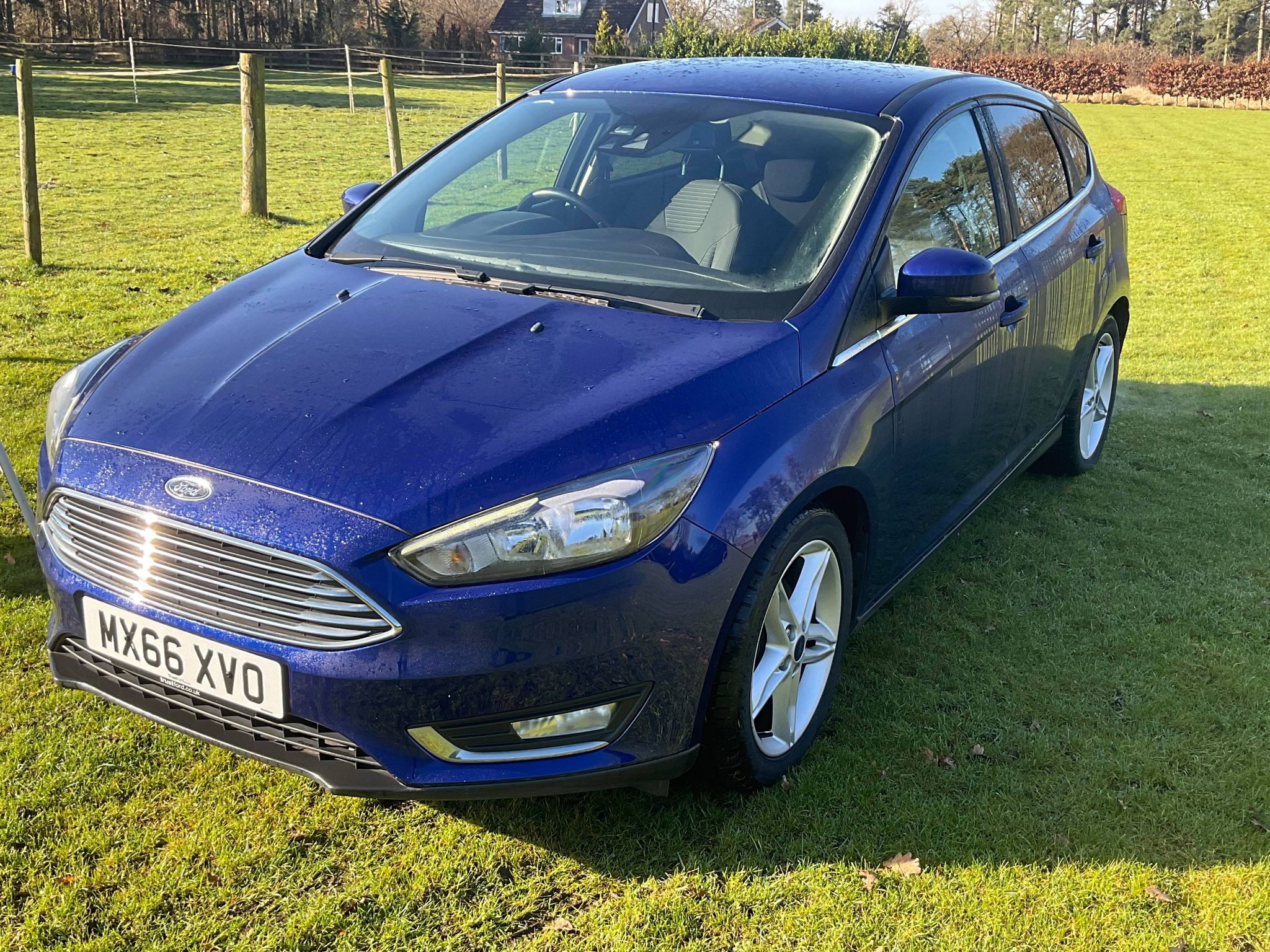 Ford Focus MX66 XVO